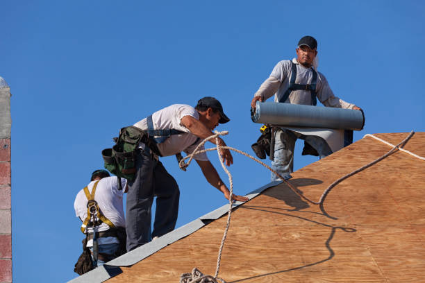 Best Storm Damage Roof Repair  in Mount Ayr, IA